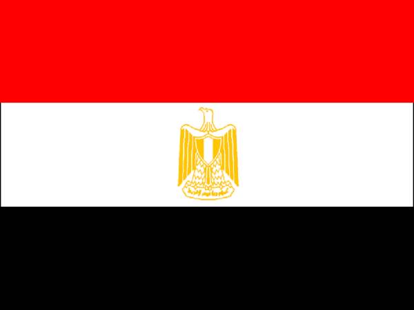 مصر کے صدارتی الیکشن ، مقابلہ دوبارہ ہوگا