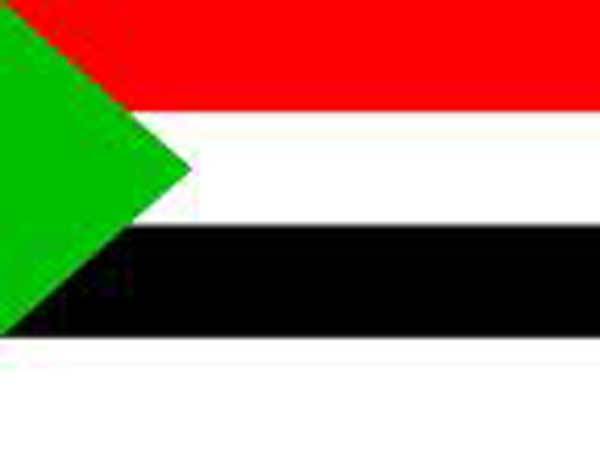 سوڈان میں طیارہ تباہ ، وزیرسمیت کم از کم 30مسافر جاں بحق
