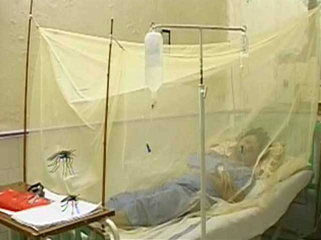 کراچی میں ڈینگی کے مزید چھ مریض سامنے آگئے 