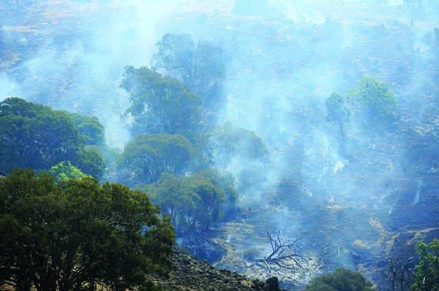  یاس:نیو ساﺅتھ ویلز میں پہاڑوں پر لگنے والی آگ پر تاحال جل رہی ہے