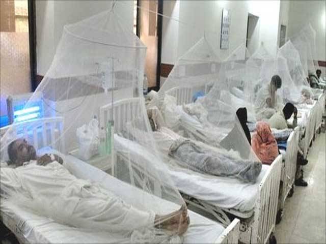 پنجاب میں مزید 28مریضوں میں ڈینگی وائرس کی تصدیق 