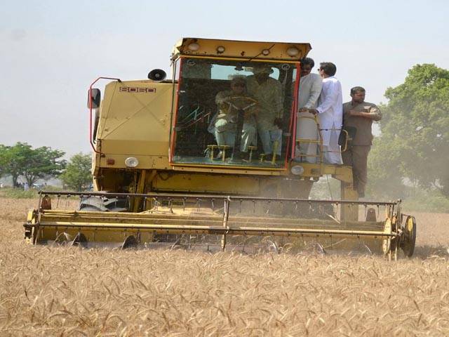 چھوٹے کاشتکاروں کیلئے 10 ہزار سستے ٹریکٹرز کی فراہمی کا اعلان، شہباز شریف نے گندم کٹائی کا افتتاح کردیا