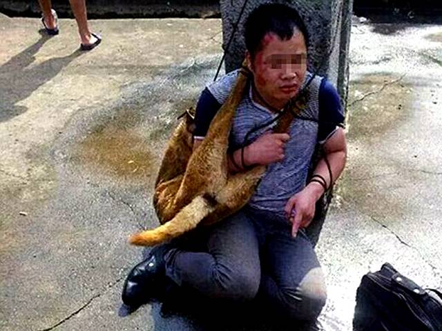 چین میں ہجوم نے اس آدمی کے گلے میں مرُدہ کتا کیوں ٹانگ دیا؟جان کر آپ بھی گھبرا جائیں گے