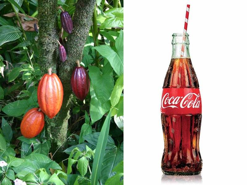 کیا آپ کومعلوم ہے کہ کوکا کولا کی بوتل کی شکل ایسی کیوں ہوتی ہے ؟پیچھے چھپی انتہائی دلچسپ کہانی جانئے 