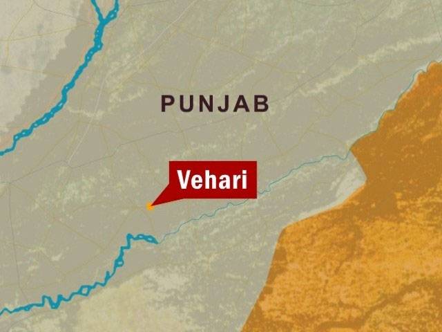 دیرینہ رنجش پر بھتیجوں کی فائرنگ سے چچا دو بیٹوں سمیت قتل‘دوسرا چچا زخمی