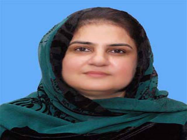 اگر کوئی تحریک انصاف میں شامل ہو جائے تو کیا اس کے پچھلے گناہ دھل جاتے ہیں : سینیٹر روبینہ خالد 
