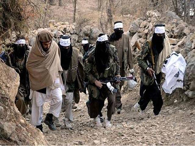 افغان طالبان کی مذاکراتی ٹیم سعودی عرب پہنچ گئی،طویل عرصے بعدروابط بحال