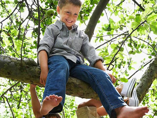 یہ خبر پڑھنے کے بعد آپ کا بھی دل کرے گا کہ بچوں کی طرح درخت پر چڑھنے کی کوشش کریں
