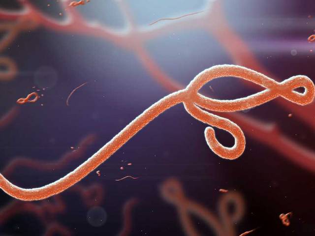 ایبولا وائرس کے باعث موت سے بچ جانیوالے مریض اندھے پن کا شکارہورہے ہیں