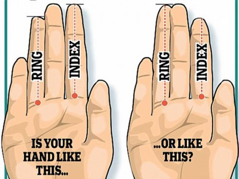 ہاتھ کی انگلیوں کی لمبائی مردانہ طاقت کی عکاس ،دلچسپ تحقیق
