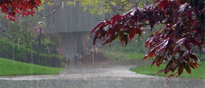 آئندہ 24گھنٹوں کے دوران پنجاب اور کے پی سمیت بیشتر علاقوں میں تیز ہواﺅں کیساتھ بارش کی توقع ہے : محکمہ موسمیات