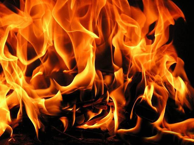 مدھیہ پردیش: شراب خانے کو آگ لگا کر 2 ملازم زندہ جلا دئیے