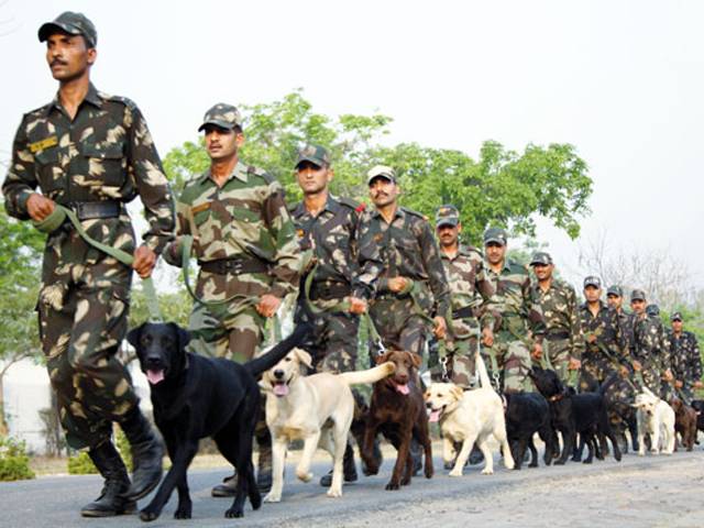 مجاہدین کے بڑھتے ہوئے حملے بھارت کی فوجی صلاحیت پر سوالیہ نشان ؟ خفیہ اداروں نے ہندوستانی فوجی کیمپوں کی حفاظت ’’تربیت یافتہ کتوں ‘‘ کے سپرد کرنے کی تجویز دے دی
