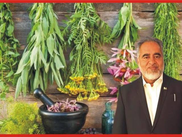 گرین پاکستان پروگرام کے تحت ادویاتی پودوں کی کاشت کیوں نہیں؟