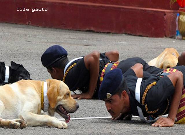 ”کتے ٹہلاتے ہیں ،میم صاحبہ کو بیوٹی پارلر لے کر جاتے ہیں “بھارتی فوجی افسران نے سپاہیوں کو گھریلو کام پر لگا دیا 