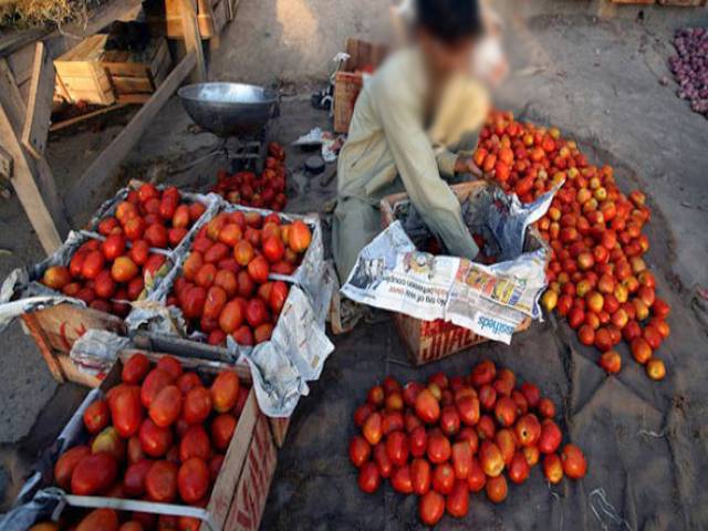 مجسٹریٹ نے مہنگے ٹماٹر فروخت کرنے والے ملزم کی ضمانت منظور کر لی 
