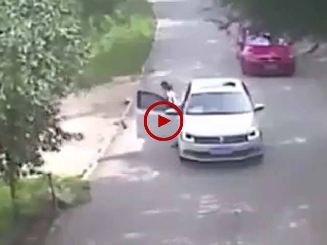 اس ویڈیو میں دیکھیں شیر نے لڑکی پر حملہ کر دیا۔ لڑکی کی لاپرواہی سے اس کے ساتھ کیا حادثہ ہو گیا۔ ویڈیو: حسن فاروق۔ لاہور 