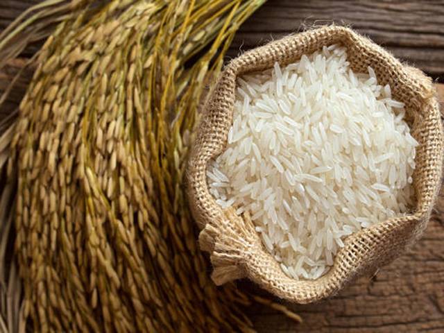 بدین میں چاول کی بڑے پیمانے پر کاشت شروع ہوگئی