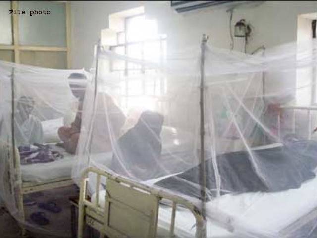 پنجاب موبائل ہیلتھ یونٹس کی جانب سے تہکال میں دوسرے روز بھی میڈیکل کیمپ کا انعقاد، سینکڑوں افراد معائنہ کیلئے پہنچ گئے،80 میں ڈینگی وائرس کی تصدیق
