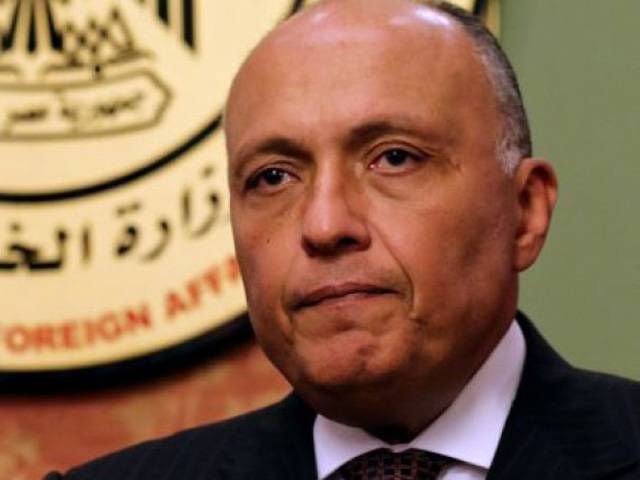 امداد روکنے پر مصری وزیر خارجہ کا ٹرمپ کے داماد سے ملنے سے انکار