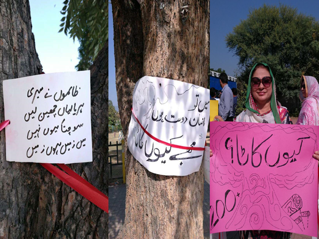 ”اسلام آباد میں درختوں کی کٹائی “،شہریوں نے ایسے نعرے درختوں پر درج کرنے شروع کر دیے کہ جان کر آپ بھی ان کی سوچ کو داد دیں گے