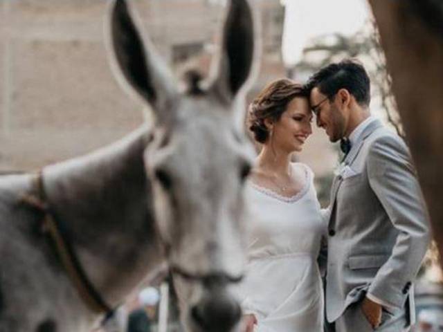 مصری دولہا اور جرمن دلہن نے اپنی شادی کے روز کھلے عام ایسے جانور کیساتھ تصاویر بنا ڈالیں کہ دیکھتے ہی سوشل میڈیا پر ہنگامہ برپا ہوگیا، ایسی کیا خاص بات تھی؟ آپ بھی جانئے