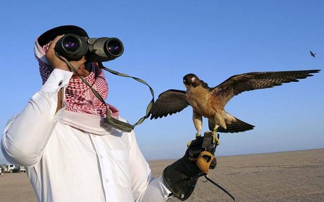 عرب امارات کے شاہی مہمان نایاب پرندوں کے شکار کیلئے سندھ کے ضلع تھر پہنچ گئے