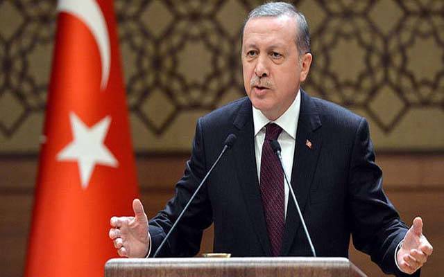 شام سے ملحقہ ملکی سرحدوں پردہشت گردوں کا خاتمہ کردیا جائے گا: ترک صدر