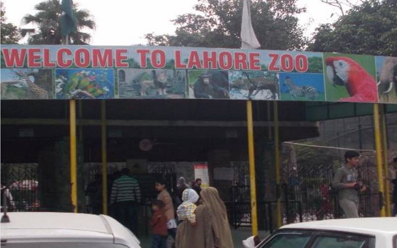لاہور چڑیا گھر، فیملی کے بغیر کسی بھی فرد کا داخلہ ممنوع قرار