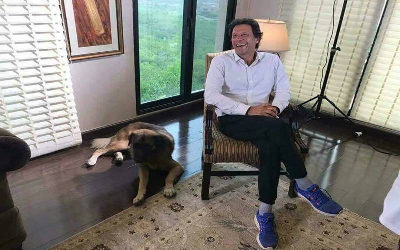 عمران خان کے تیسری بیوی سے بھی اختلاف کی خبروں کے بعد ریحام خان بھی میدان میں آگئیں ،ایسی وجہ بتا دی کہ عمران خان کے غصے کی انتہا نہ رہے گی 