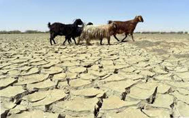 ملک میں آب و ہوا بدلنے سے جانور اور فصلوں کو شدید نقصان پہنچ رہا ہے