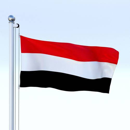 حوثی ملیشیا کے الحدیدہ سے انخلاتک کوئی سیاسی حل قبول نہیں:یمن 
