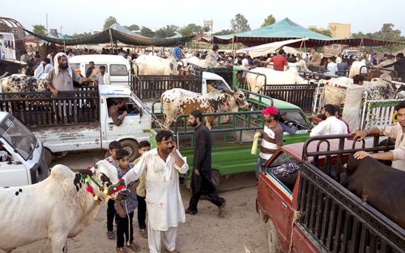 پاکستان کا وہ علاقہ جہاں عید الاضحی پر ایک بھی گائے قربان نہیں کی گئی، لیکن وجہ ایسی کہ جان کر آپ یہاں کے رہنے والوں کو داد دیں گے