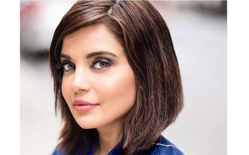 پاکستان کی معروف اداکارہ ارمیناخان کے ساتھ ٹویٹر صارف نے غیر اخلاقی زبان استعمال کی تو آگے سے اداکارہ نے کیاکیا ؟ جان کر کوئی بھی ایسی حرکت کرنے سے قبل دس ہزار بار سوچے گا 