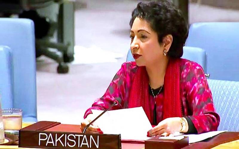 عالمی امن کےلئے پاکستان کی گرانقدرخدمات ہیں‘ ملیحہ لودھی