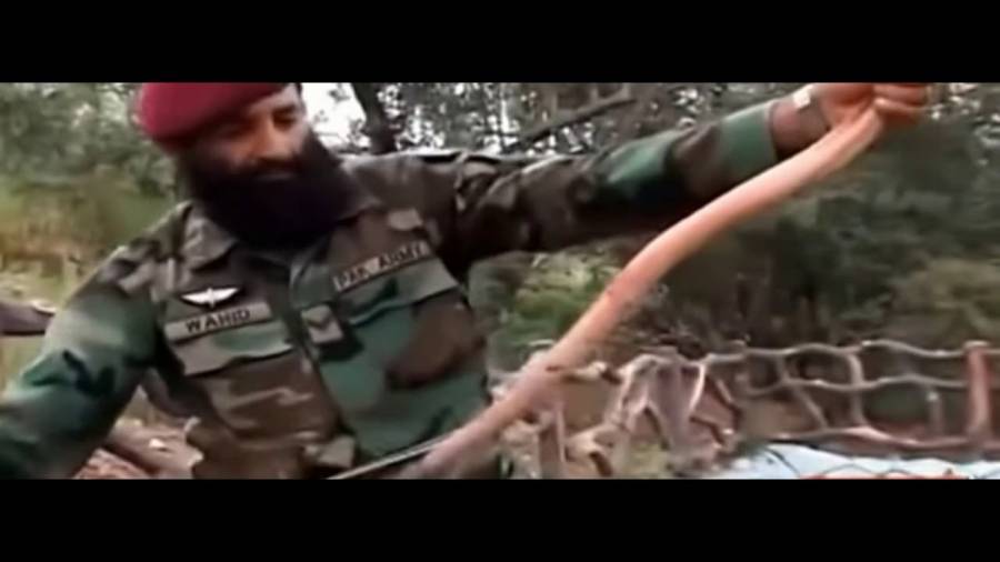 پاکستانی فوج کے کمانڈوز سانپ کیوں کھاتے ہیں؟ ایسا انکشاف کہ جان کر آپ دنگ رہ جائیں گے
