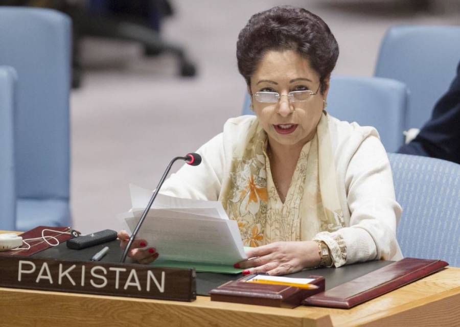 اقوام متحدہ کی جنرل اسمبلی میں بھارتی مخالفت کے باوجود پاکستان کی 3 قرار دادیں منظور