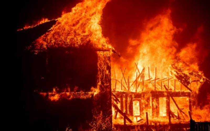 کیلیفورنیا کے جنگلات میں لگی آگ سے ہلاکتوں کی تعداد 50 ہوگئی 