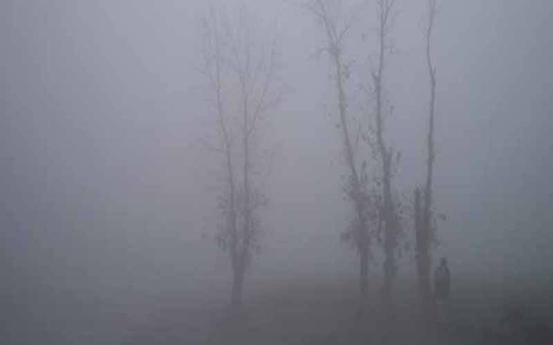 پنجاب نے دھند کی سفید چادر اوڑھ لی، لاہور سے شیخو پورہ حد نگاہ انتہائی کم ، موٹروے بند 