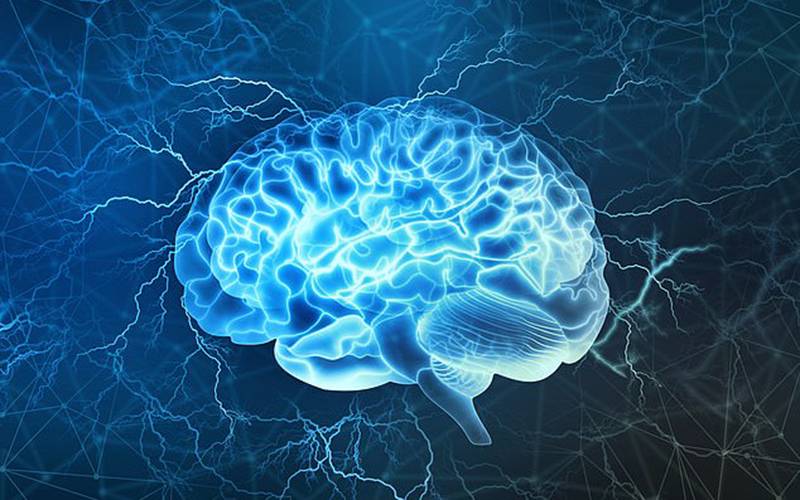 کس عمر کو پہنچ کر ہمارے دماغ پوری طرح بڑے ہوجاتے ہیں؟ سائنسدانوں نے انتہائی حیران کن انکشاف کردیا