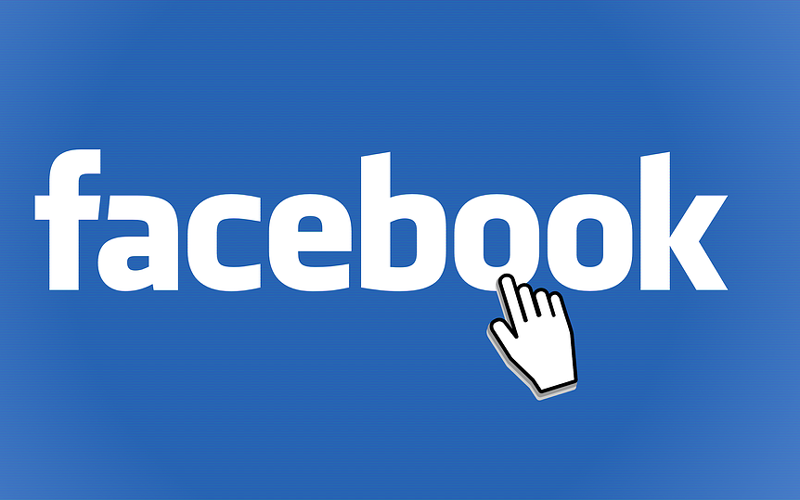 فیس بک کے ذریعے خاتون کو سرکاری نرسری فروخت کرنیوالا جعلی افسر گرفتار