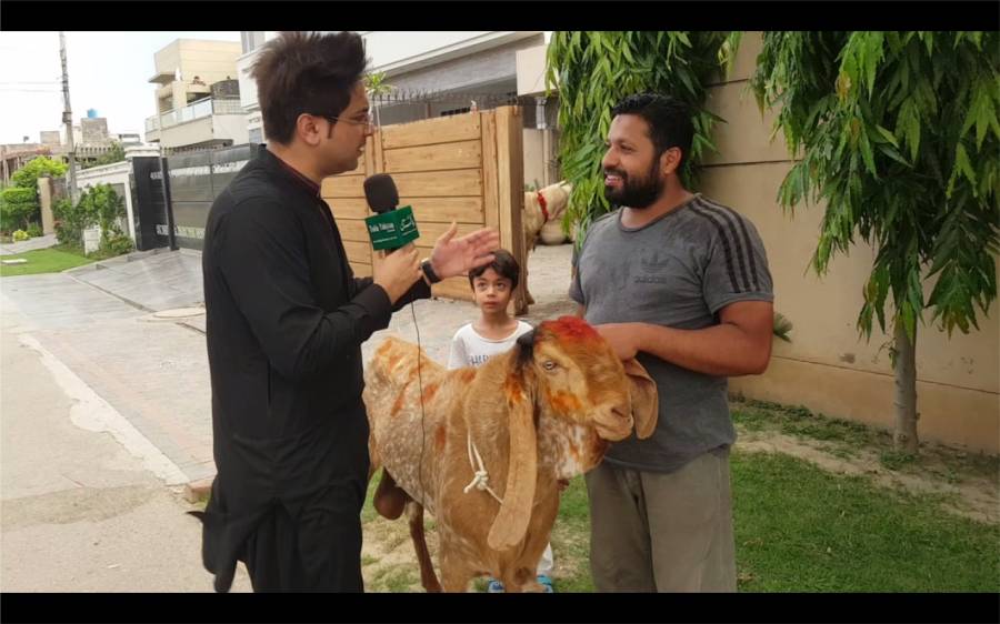 قدرت کا کرشمہ ،دودھ دینے والا بکرا لاہور کا شہری خرید لایا ،حیرت انگیز ویڈیو آپ بھی دیکھیں
