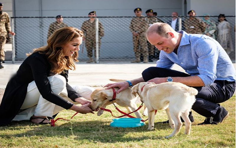 کیا آپ کو پتا ہے کہ شاہی جوڑے نے پاکستان میں بم سونگھنے والے کتوں کو ٹریننگ بھی دی؟ تصاویر سامنے آگئیں