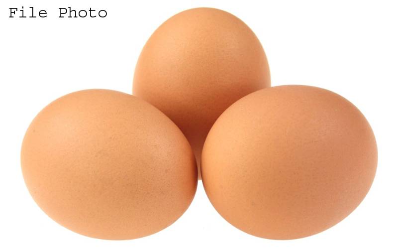 سردی شروع ہونے سے قبل ہی نقلی انڈوں کی فروخت کا انکشاف لیکن دراصل ان انڈوں کے نقلی ہونے کا پتہ کیسے چلا؟ دکاندار گرفتار