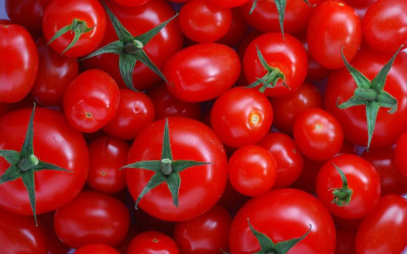 حکومت نے ٹماٹروں کو قابو کرنے کا طریقہ ڈھونڈ لیا