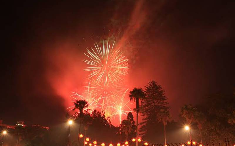 نیاسال اورنئی دہائی مبارک ہو! نیوزی لینڈمیں شاندار جشن، آتشبازی 