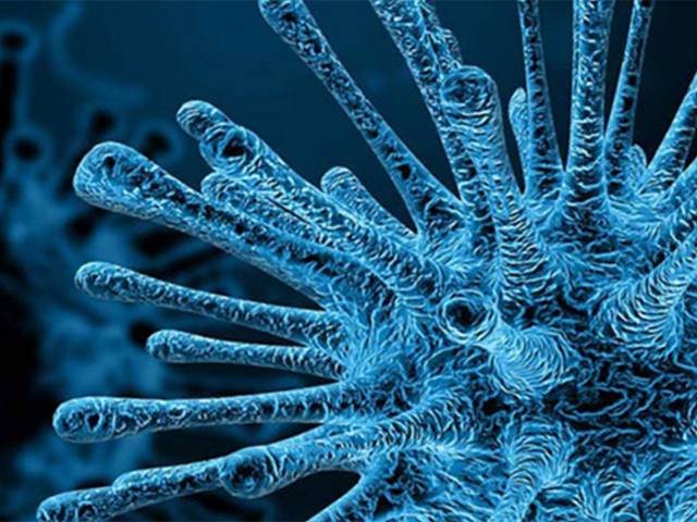 سندھ میں مزید 3 بچوں میں پولیو وائرس کی تصدیق