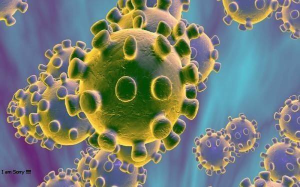 چین میں کرونا وائرس سے ہلاکتوں کی تعداد130ہوگئی لیکن امریکا کیا کرنے جارہا ہے؟