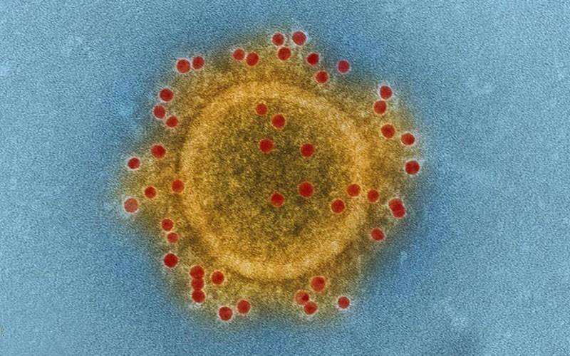 کرونا وائرس سے پہلا امریکی شہری ہلاک 