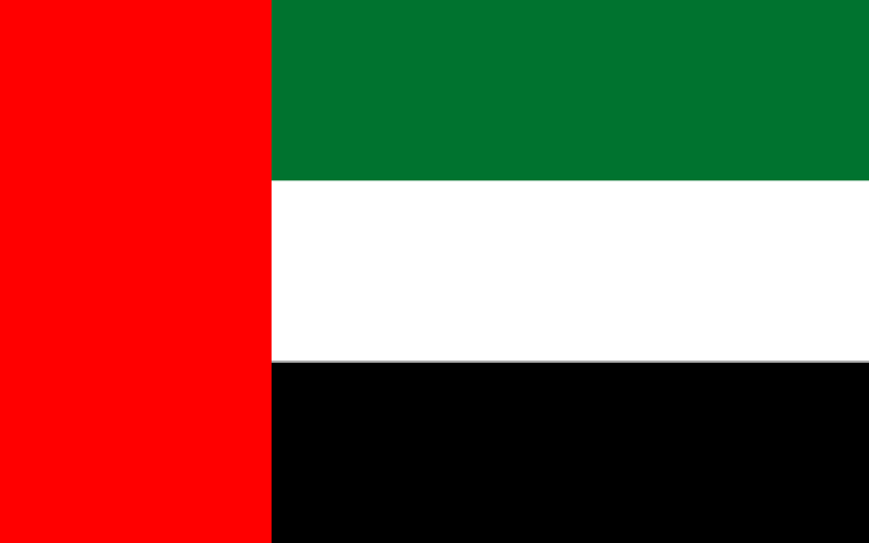متحدہ عرب امارات نے اپنی افواج یمن سے نکال لیں؟ بڑی خبرآگئی